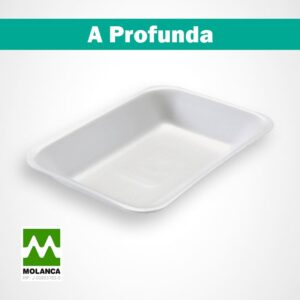 Bandeja A profunda resistente Molanca