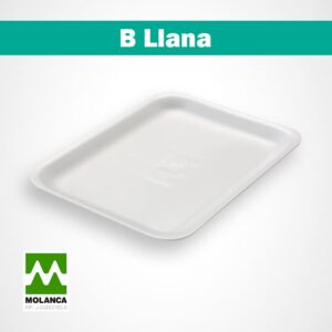 Bandeja B llana resistente Molanca