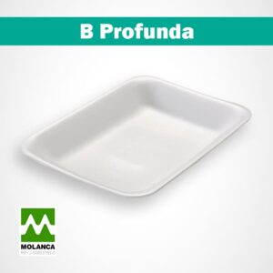 Bandeja B profunda resistente molanca