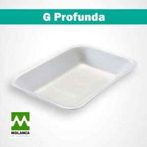 Bandeja G profunda resistente Molanca