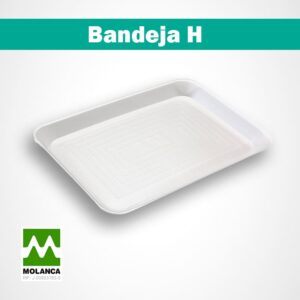 bandeja h resistente Molanca